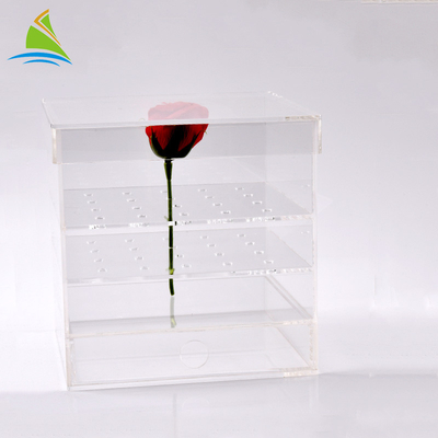 संरक्षित 25 गुलाब के लिए Plexiglass साफ़ एक्रिलिक स्टोरेज बॉक्स एक्रिलिक फूल कस्टम पैकेजिंग बॉक्स